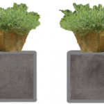 Sustainable Landscape Design Through Geological Stone Pots and Artifacts