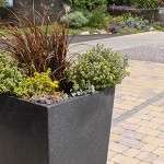 How to Grow and Maintain Garden Pot Plants