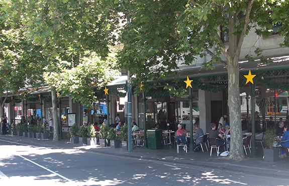 Stone Pots in Melbourne Large Plant Pots in Melbourne