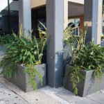 Gold Coast - Westpac in Cavill Avenue.